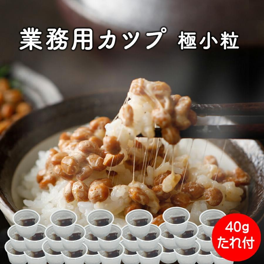 納豆 極小粒 どうなん納豆 業務用カップ納豆  40gX200 北海道産 グルメ ご飯のお供 国産 お取り寄せ