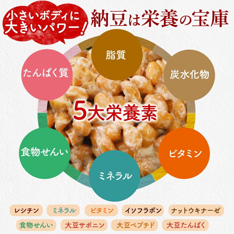 納豆 極小粒 どうなん納豆 業務用カップ納豆  40gX200 北海道産 グルメ ご飯のお供 国産 お取り寄せの画像