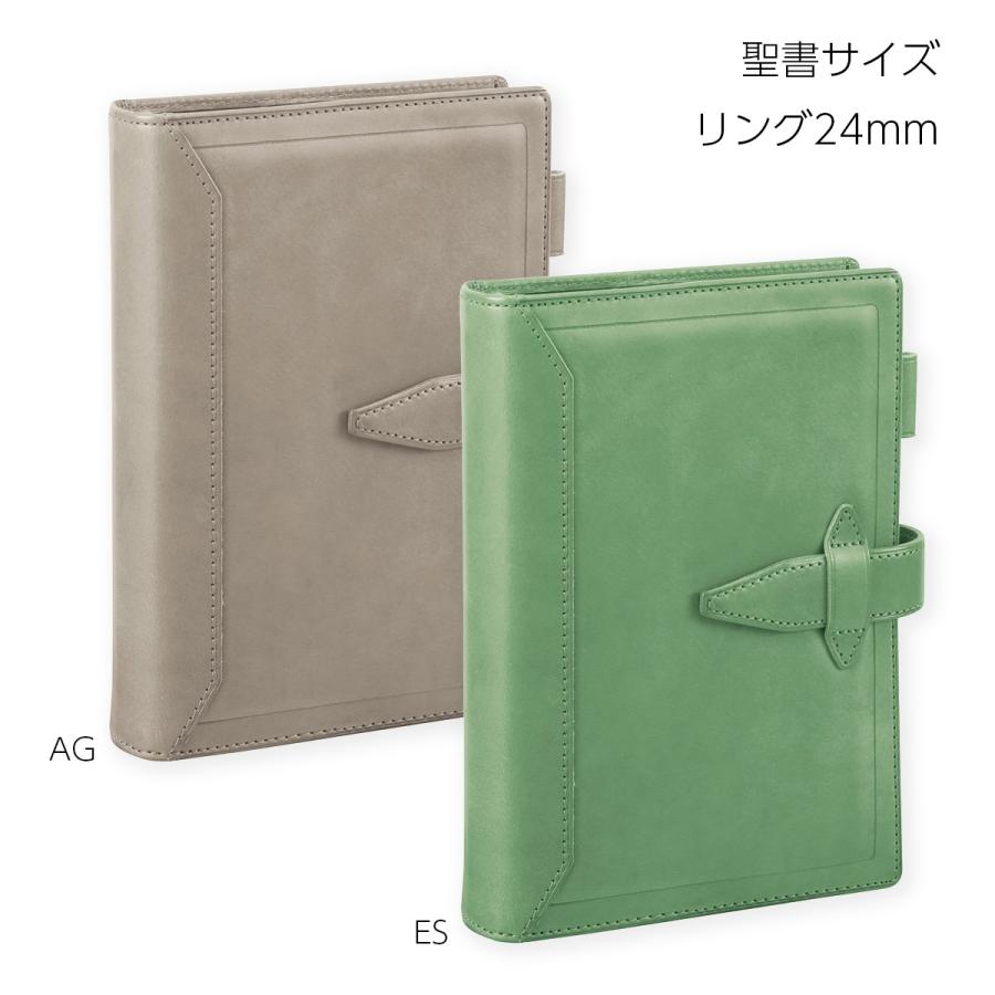 ダ・ヴィンチ 【限定品・送料無料(本州のみ)♪】レイメイ藤井 DB1198 