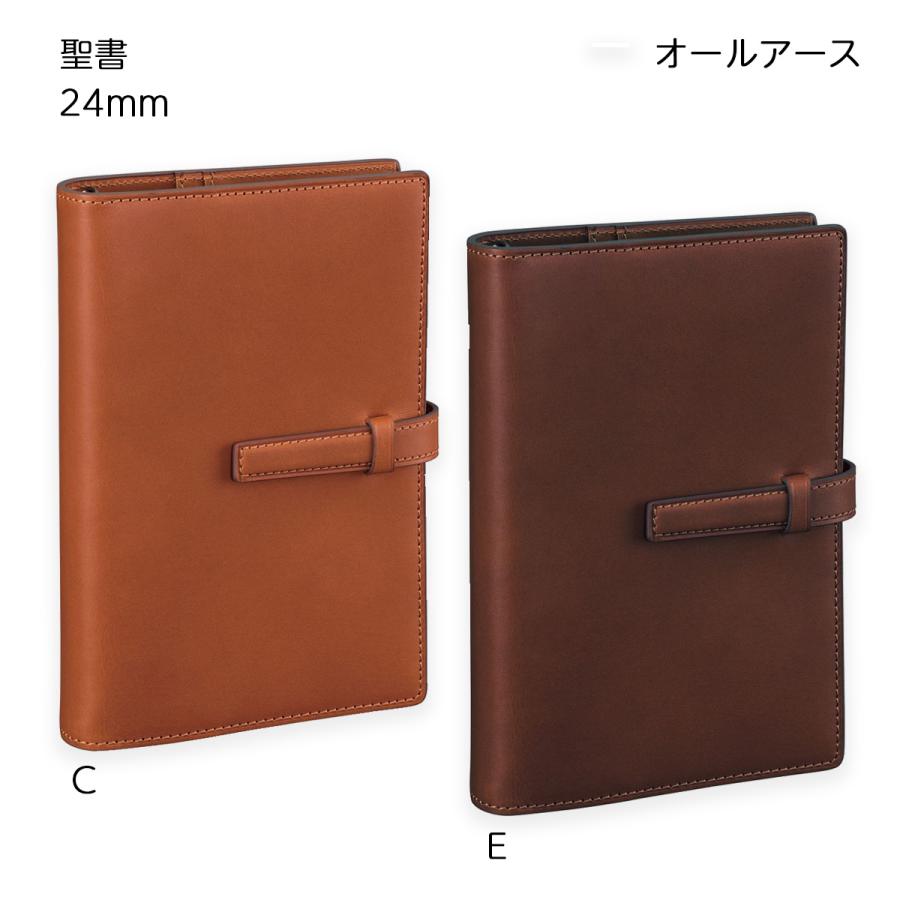 ダ・ヴィンチ 【送料無料(本州のみ)♪】レイメイ藤井 DB4053 システム