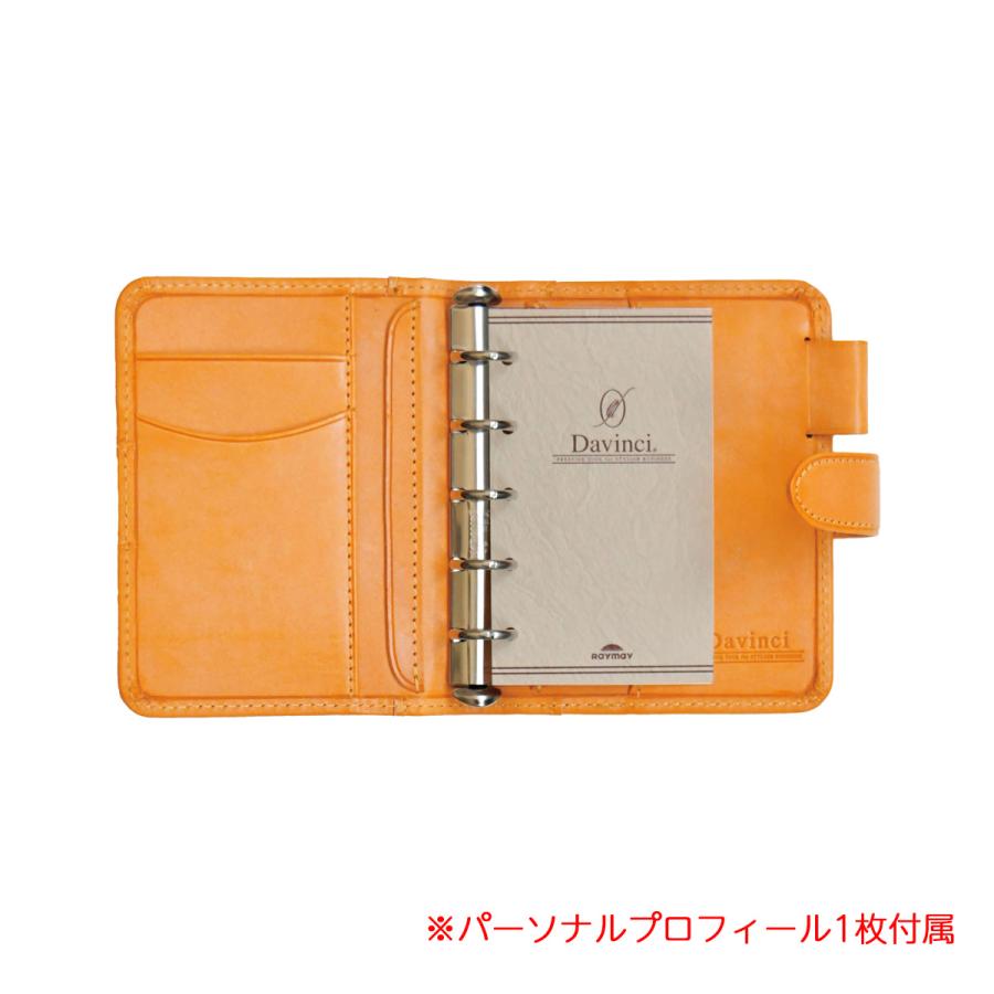 ダ・ヴィンチ 【送料無料(本州のみ)♪】レイメイ藤井 DPM1414 システム