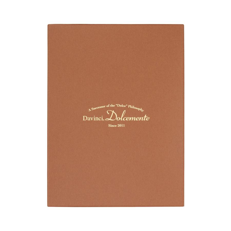 ダ・ヴィンチ レイメイ藤井 DSA1092 システム手帳 ダ・ヴィンチ