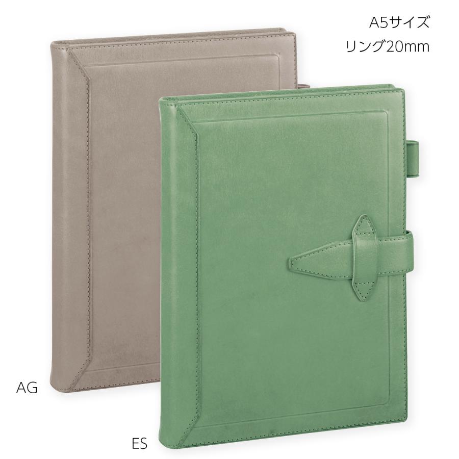 Davinci ロロマクラッシックアージェントレザー リング式ファイル A5 ダヴィンチ ロロマクラシック A5サイズ 2023限定 アージェント