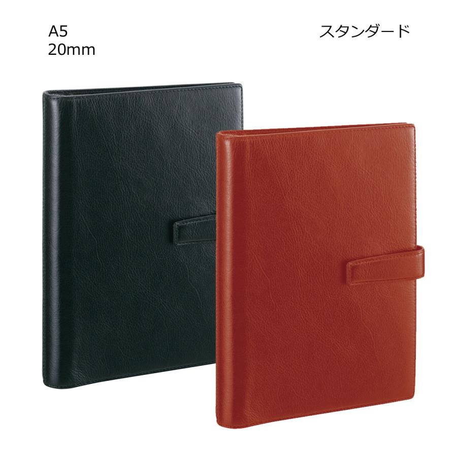 ダ・ヴィンチ 【名入れ可】レイメイ藤井 DSA3002 システム手帳 ダ・ヴィンチ 【名入れ可】レイメイ藤井 DSA3002 システム手帳