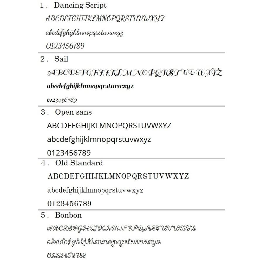 【名入れ可】レイメイ藤井　DSA3010　システム手帳　ダヴィンチ　グランデ　ロロマクラシック　A5サイズ　リング20mm | ダ・ヴィンチ | 10