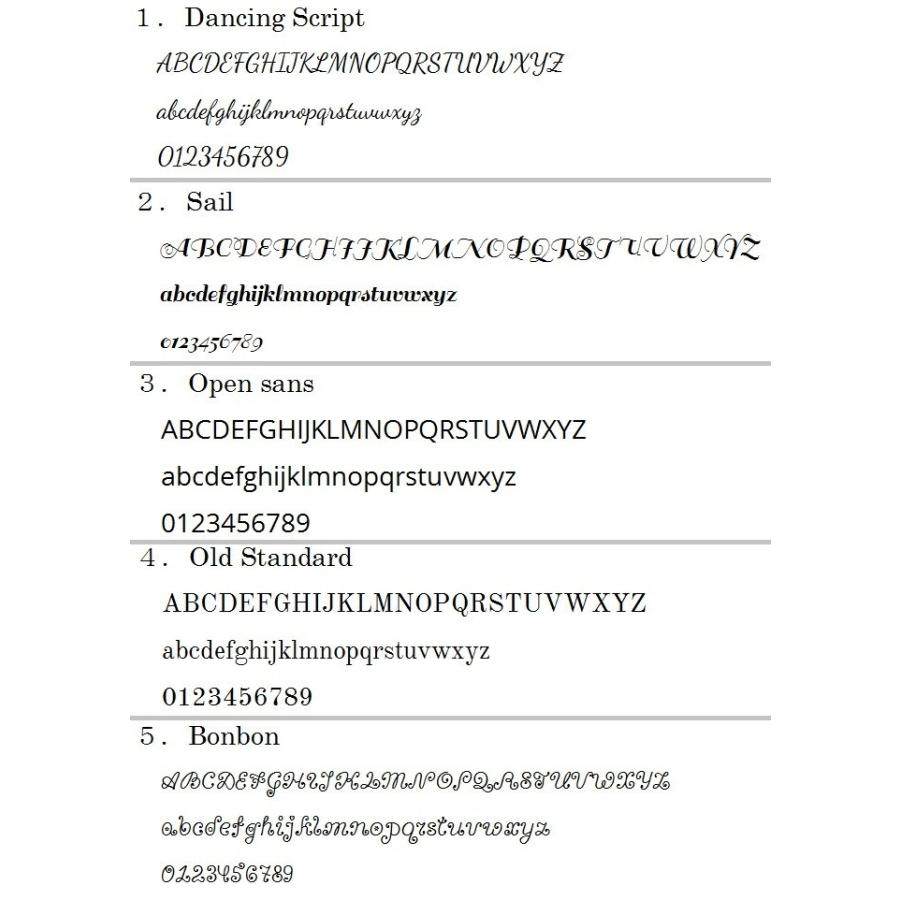 【名入れ可】レイメイ藤井　JDA3003　システム手帳　ダヴィンチ　スーパーロイスレザー　スリムサイズA5　リング15mm | ダ・ヴィンチ | 13