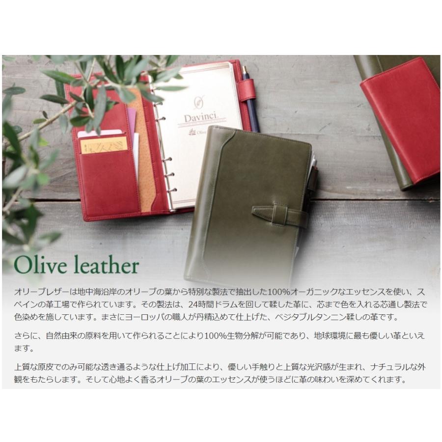 ダ・ヴィンチ レイメイ藤井 JDB3028 システム手帳 ダ・ヴィンチ