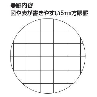 コクヨ ノ G806s 5 キャンパス ルーズリーフ Biz A5 120枚 方眼罫 No G806s 5 ブングステーション 通販 Yahoo ショッピング