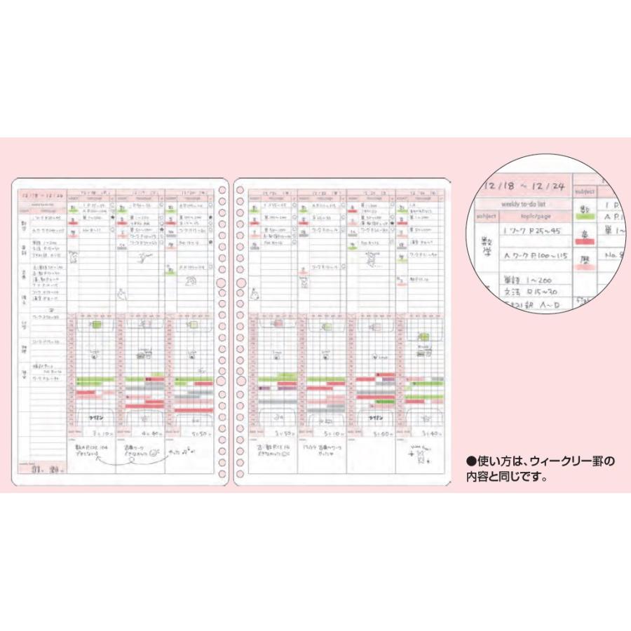 KOKUYO（コクヨ） ノ-Y836GWN キャンパス ルーズリーフ スタディ