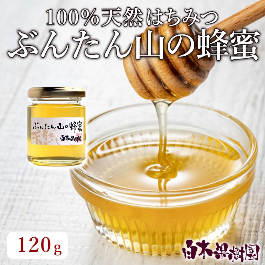 早期予約】【2026年産】はちみつ ぶんたん山の蜂蜜 小瓶120g : 文旦屋