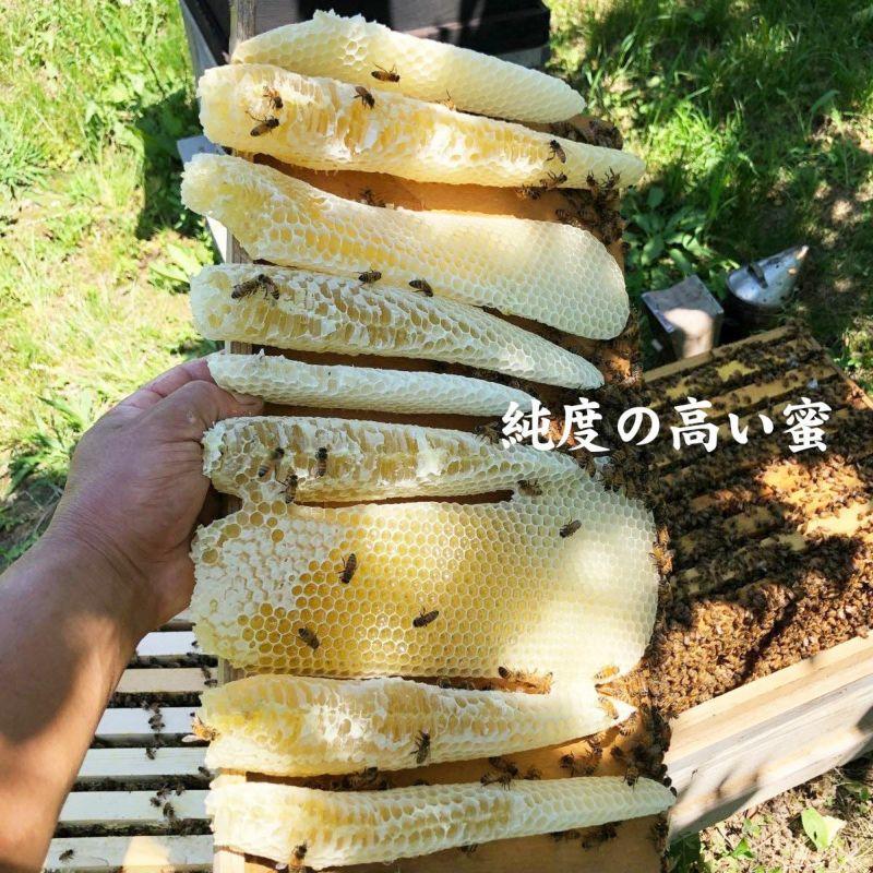 ぶんたん山の蜂蜜 360g 100%天然はちみつ : 文旦屋・白木果樹園 Yahoo