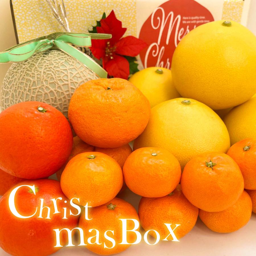 クリスマスBOX（大）【期間限定】【送料込】 : 文旦屋・白木果樹園