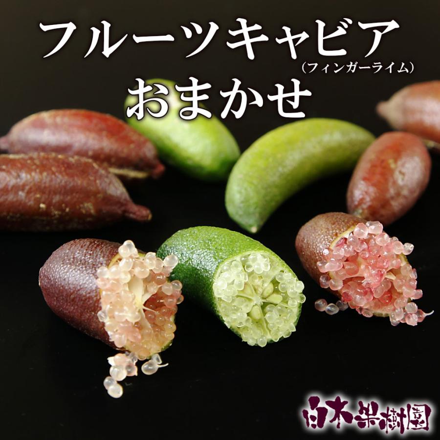 フルーツキャビア・おまかせセット（フィンガーライム）（キャビア