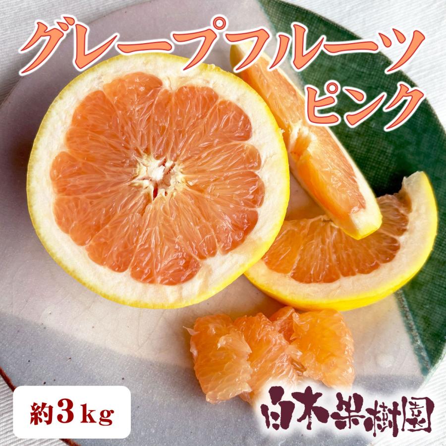 白木果樹園産 国産 グレープフルーツ ピンク 約3kg ご贈答用 Gf P3 文旦屋 白木果樹園 Yahoo 店 通販 Yahoo ショッピング
