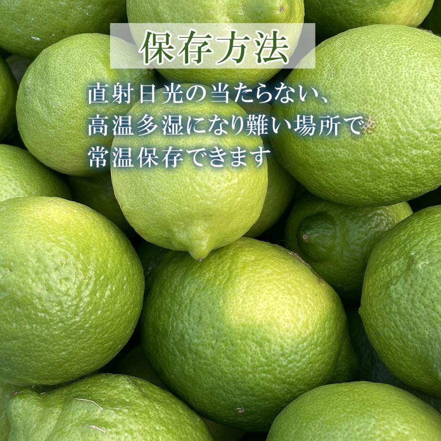 高知県黒潮町産グリーンレモン 約1.5kg｜buntanya｜06