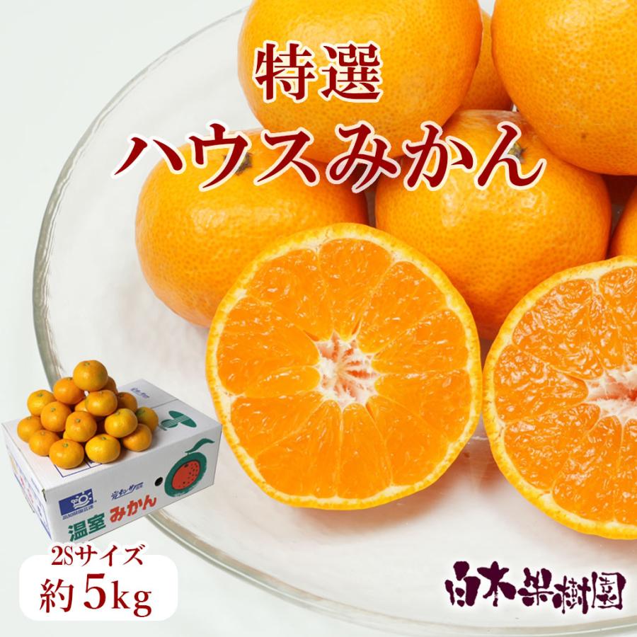 送料込】高知県産特選ハウスみかん2Sサイズ 約5kg : 文旦屋・白木果樹