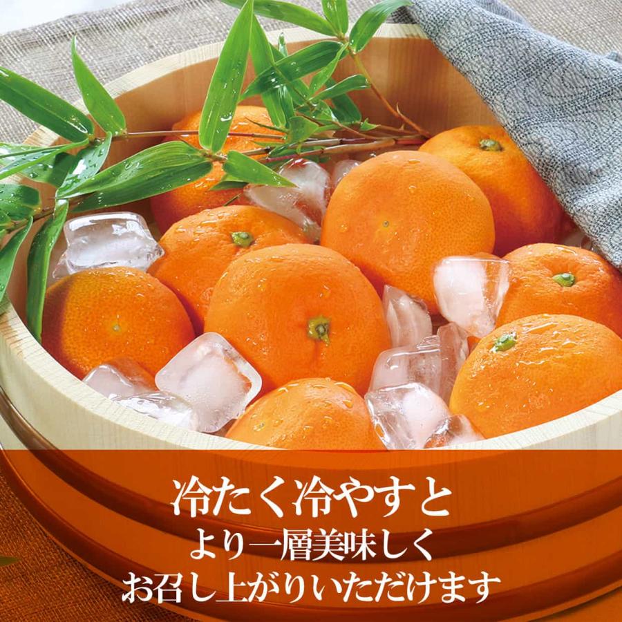 送料込】高知県産特選ハウスみかん2Sサイズ 約5kg : 文旦屋・白木果樹
