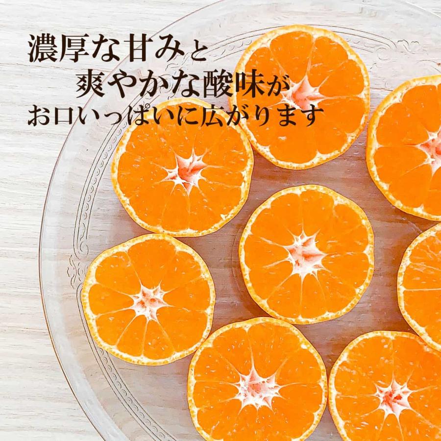 送料込】高知県産特選ハウスみかん2Sサイズ 約5kg : 文旦屋・白木果樹
