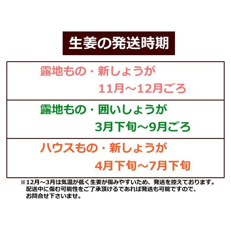 miucoさん専用　クール便　堀たて発送　高知産　ハウス新生姜　約４Kg　A品 クール送料込】高知県産ハウス新しょうが約4kg | 白木果樹園