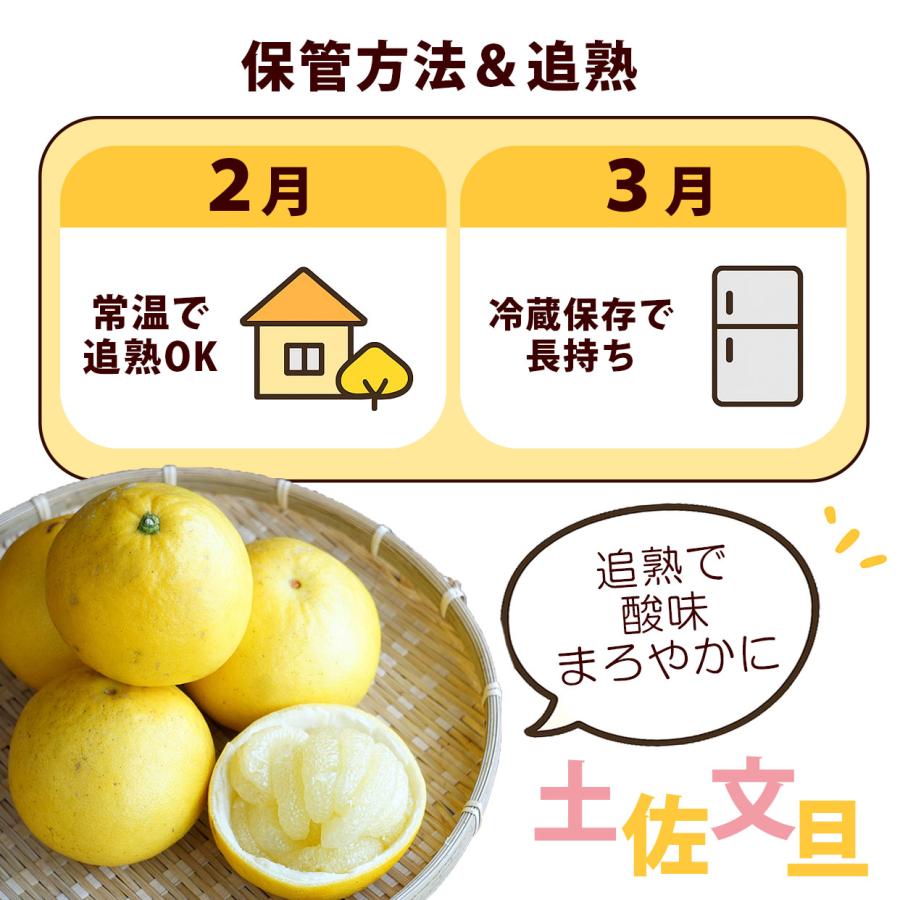 まー　土佐文旦　大玉5L〜2L 2箱同時購入価格　約20kg 訳あり 高知県産土佐文旦 大玉贈答用 2Lサイズ 5kg【送料込】 : 文旦屋・白木