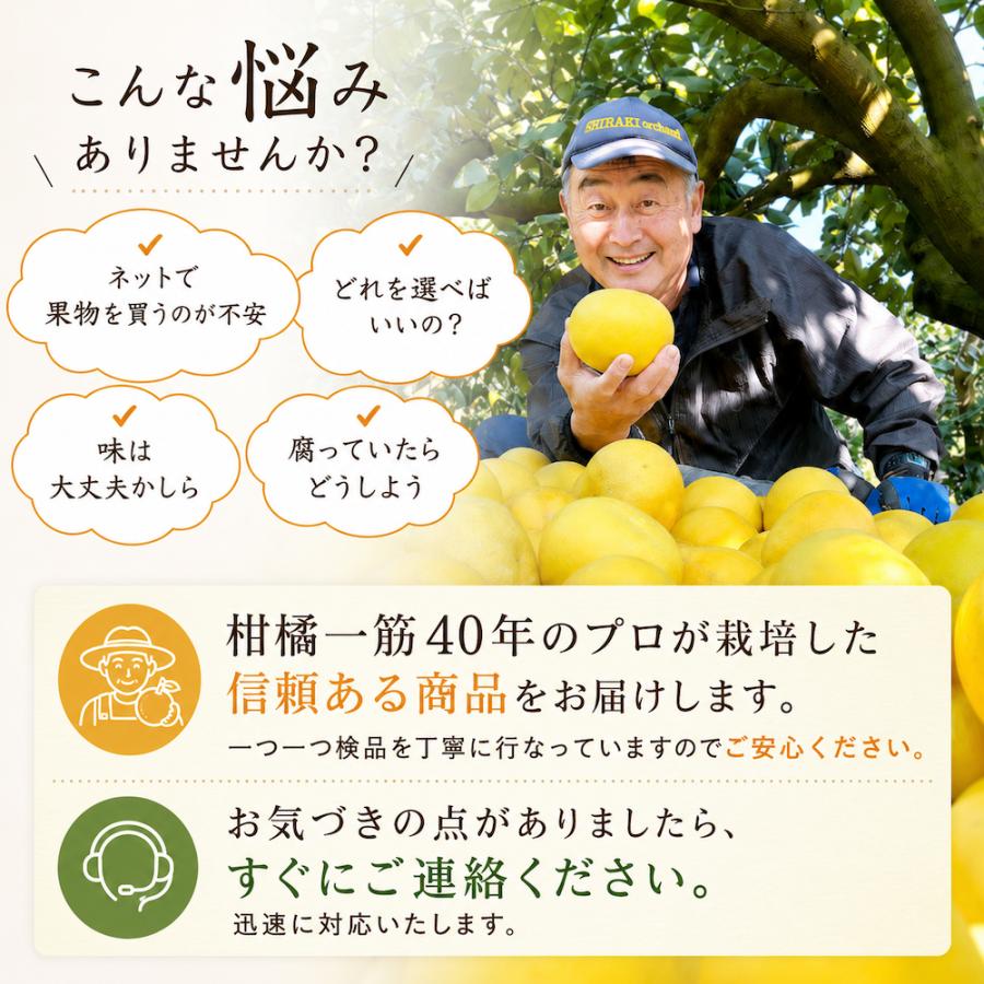 土佐小夏 わけありご家庭用 約3.5kg クール送料込 高知 柑橘 産地直送