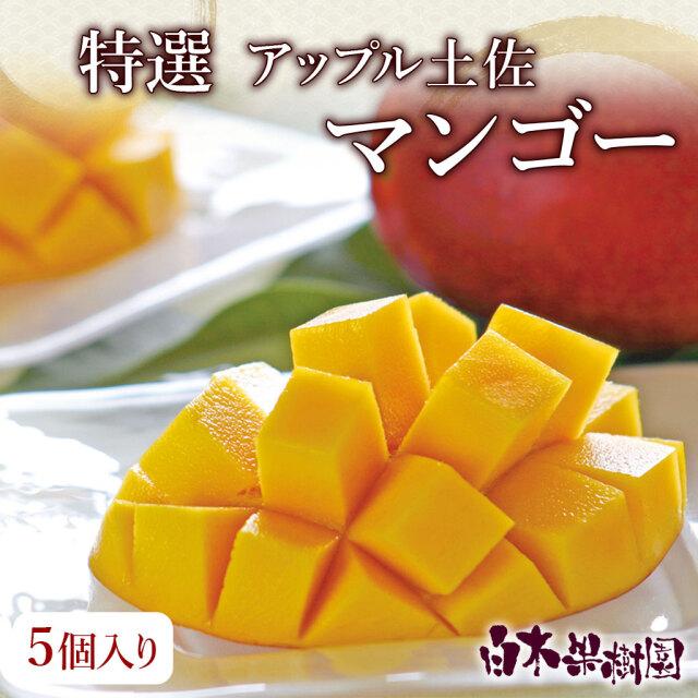 かわいい～ 高知県産アップル土佐マンゴー 当店在庫してます！ 秀品 化粧箱 5個入