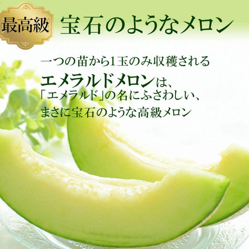 極上エメラルドメロン 1玉 木箱入り 高知県産 産地直送 送料無料