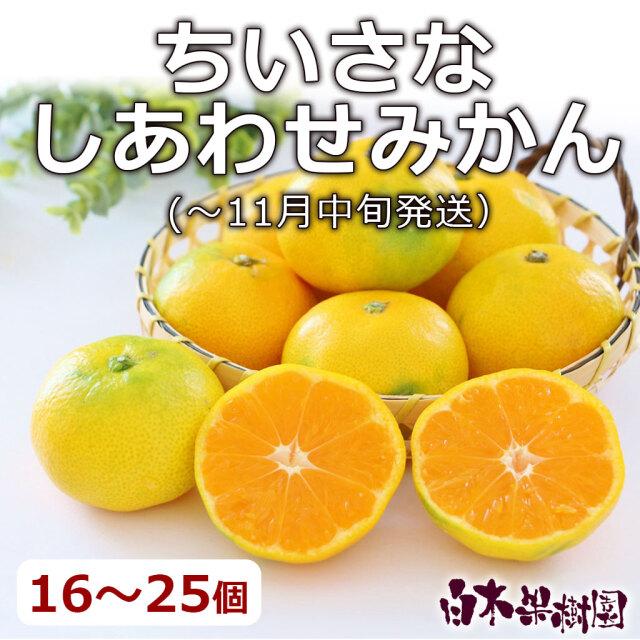 セール】【同梱可能】小さなしあわせみかん 約1.8kg少量箱 【こつぶ