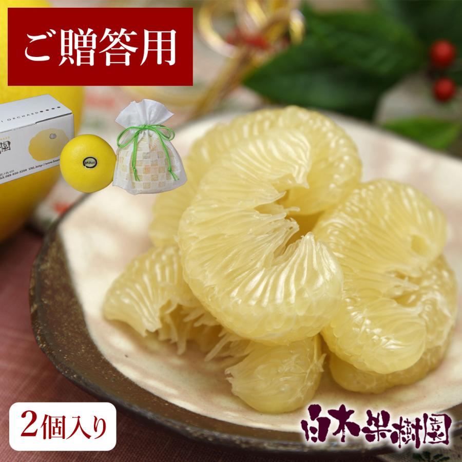 贈答用 温室土佐文旦 特大2個入【送料込】 : 文旦屋・白木果樹園 Yahoo 