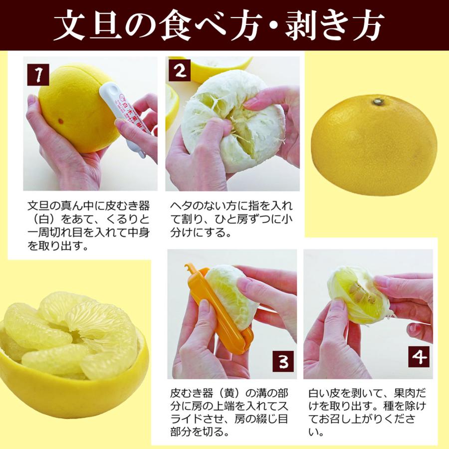 贈答用 温室土佐文旦 大箱 約5kg（7〜8個入）【送料込】 : 文旦屋