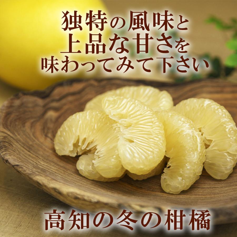 贈答用 温室土佐文旦 大箱 約5kg（7〜8個入）【送料込】 : 文旦屋