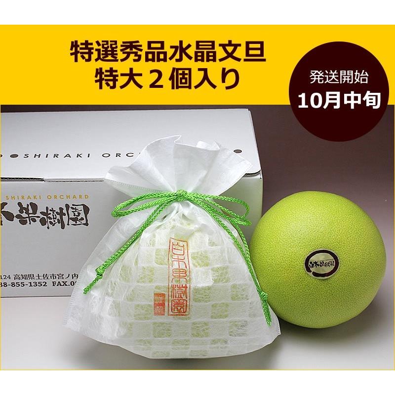 特選秀品 水晶文旦 特大2個入り 贈答 包装 熨斗 ギフト 文旦 ぶんたん 