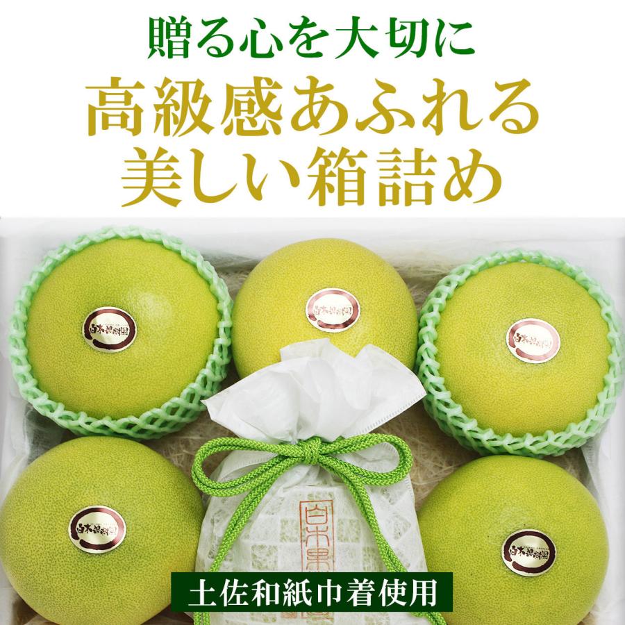特選秀品 水晶文旦 特大2個入り 贈答 包装 熨斗 ギフト 文旦 ぶんたん