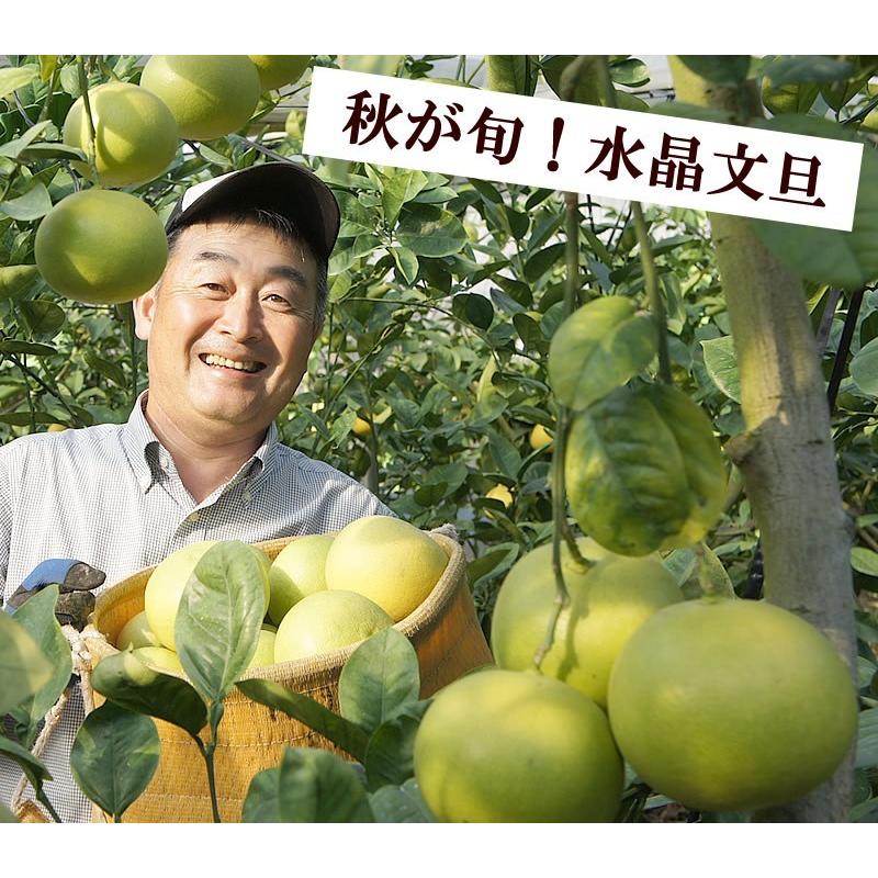 文旦 水晶文旦 みかん 好きに 78 【公式通販】