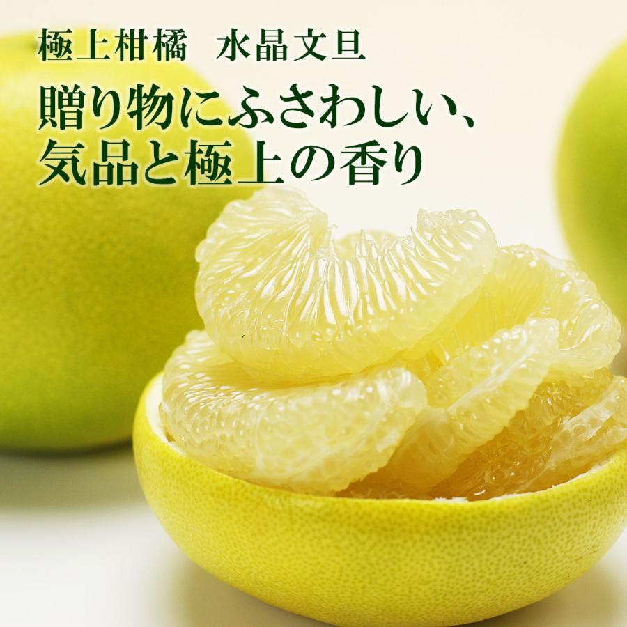 送料込】特選秀品 水晶文旦 化粧箱 中玉6個入り 贈答 包装 熨斗 ギフト