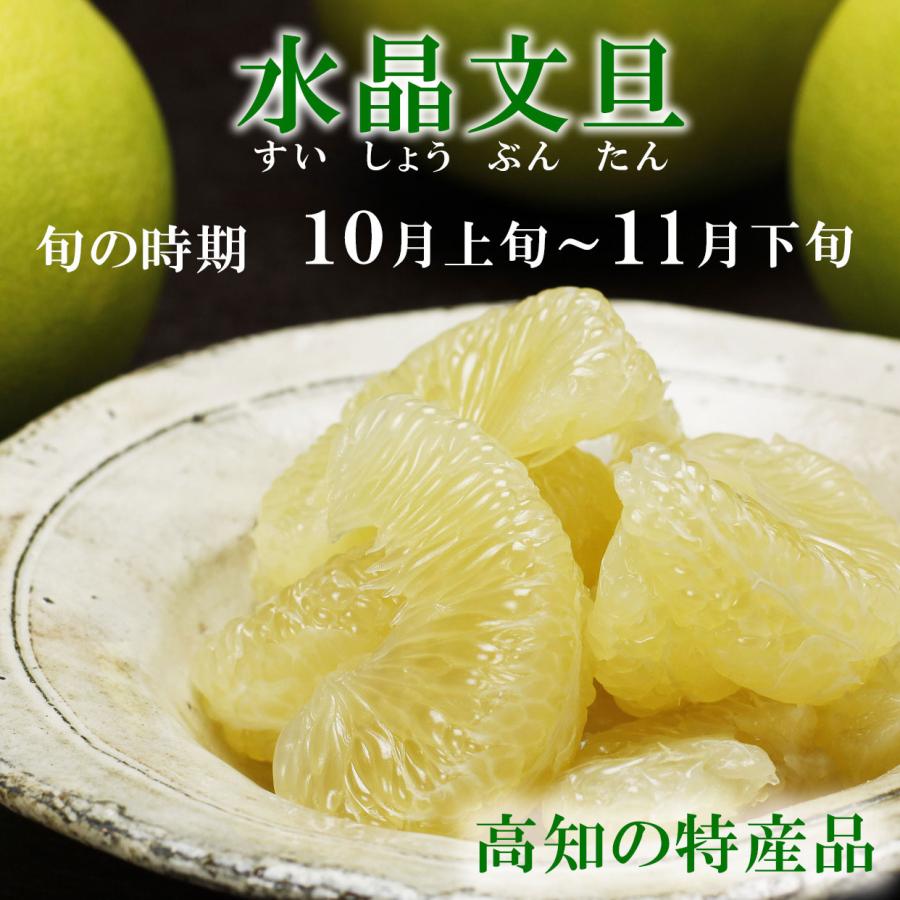 特選秀品 水晶文旦 化粧箱 大玉8個入り or 特大7玉入り 贈答 包装 熨斗
