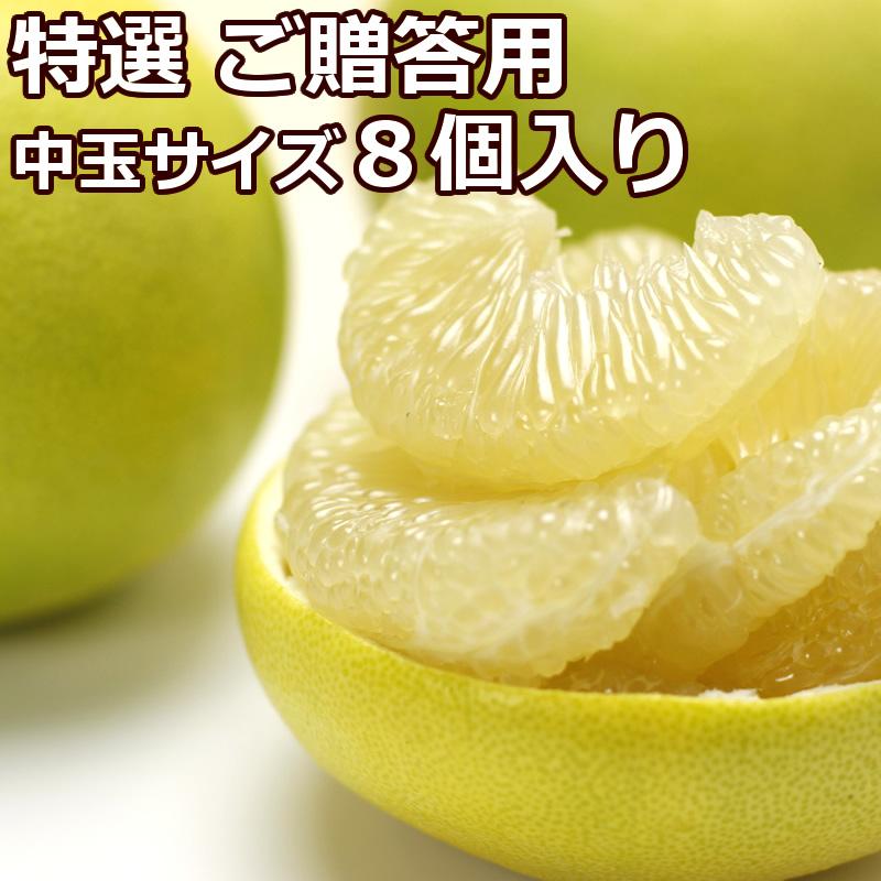 特選秀品 水晶文旦 化粧箱 中玉8個入り 贈答 包装 熨斗 ギフト 文旦 ぶんたん ブンタン 高知 みかん Sb 5c 文旦屋 白木果樹園 Yahoo 店 通販 Yahoo ショッピング