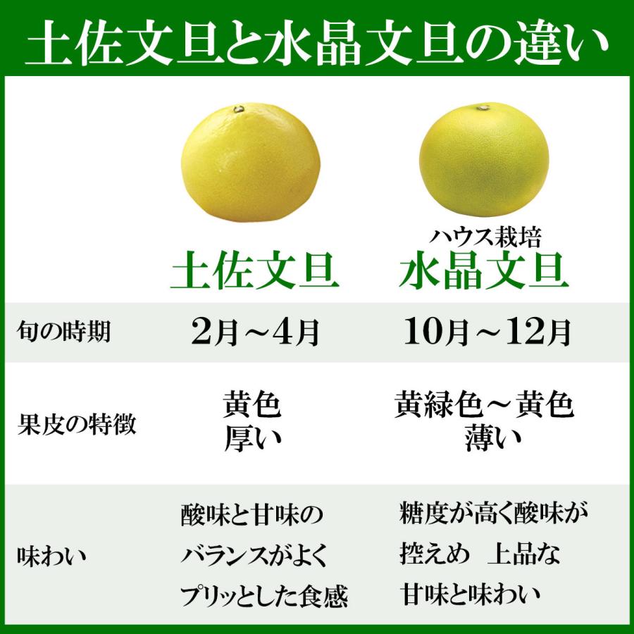 送料込】最高級「極選」 水晶文旦 大玉5個入り 土佐和紙巾着包み