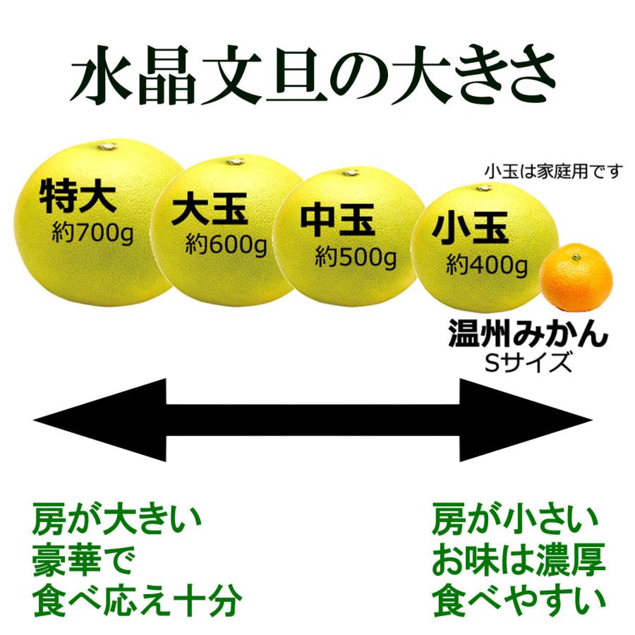 水晶文旦 最高級「極選」大玉5個入り 土佐和紙巾着包み 皮むき器付き