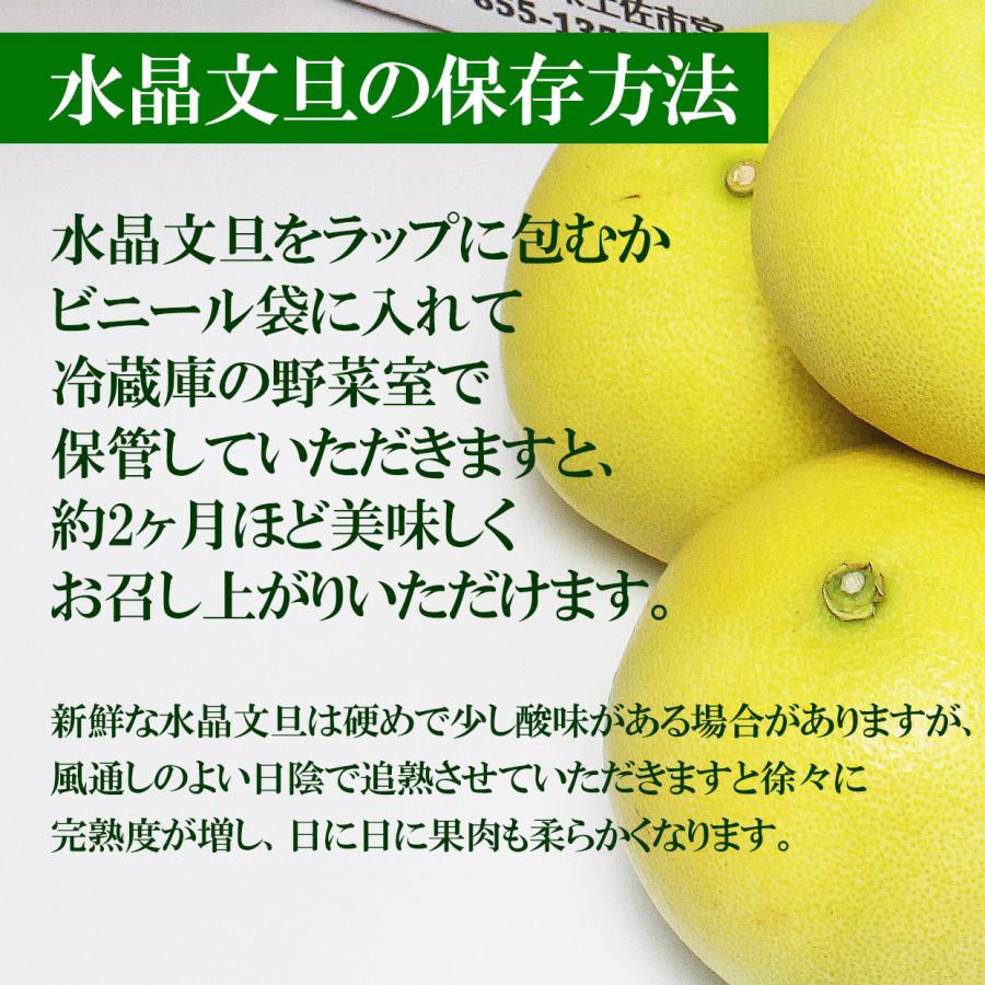 送料込】最高級「極選」 水晶文旦 大玉5個入り 土佐和紙巾着包み 贈答