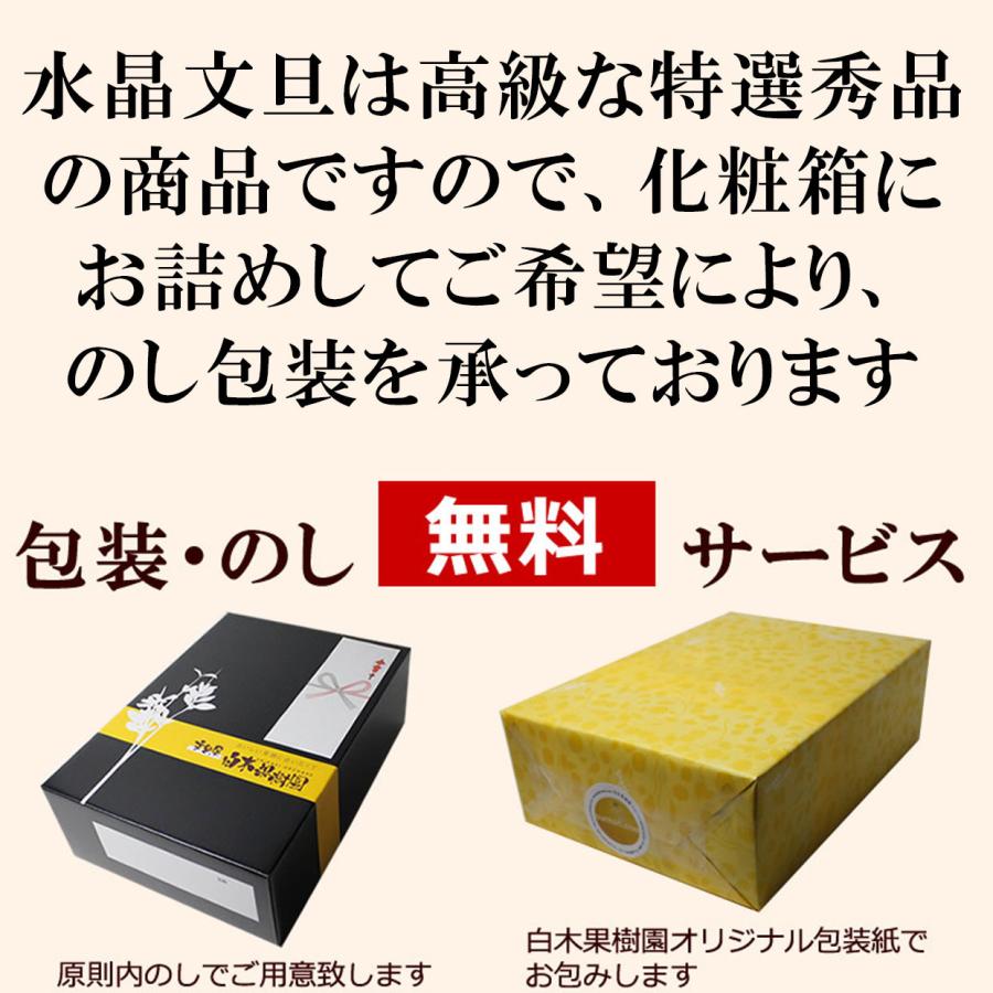 送料込】水晶文旦 ご家庭用お得箱約3kg 【のし・包装対象外】家庭用
