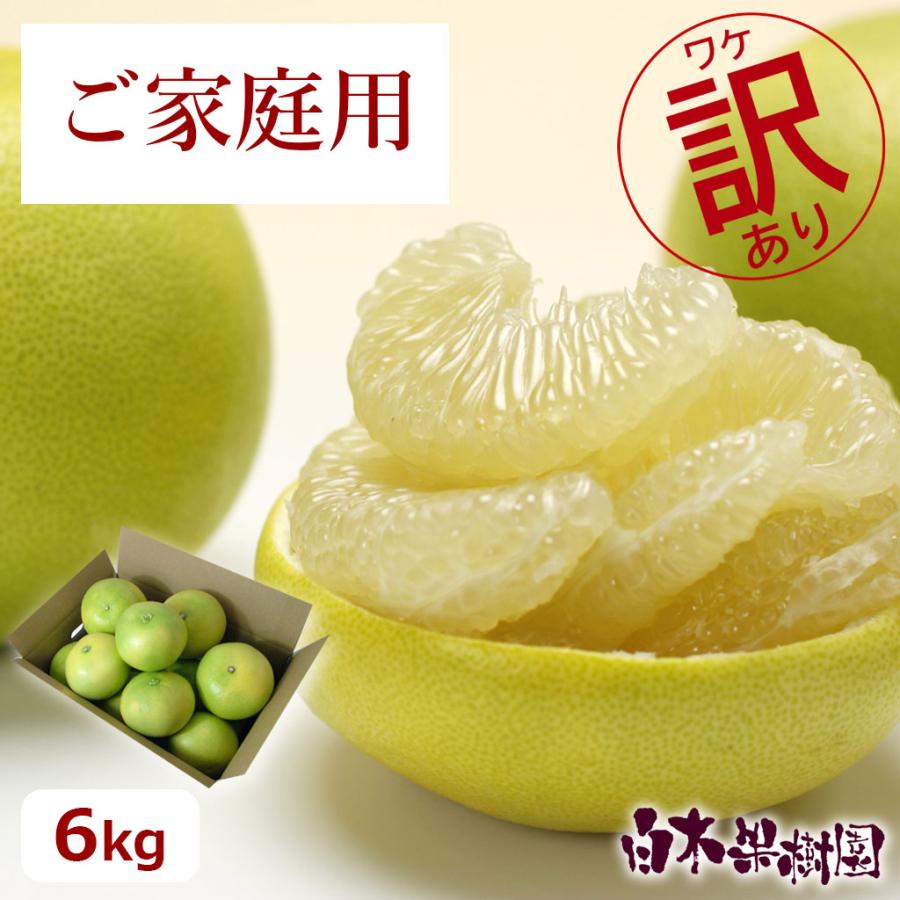 送料込】水晶文旦 お得箱約6kg 家庭用 包装対象外 文旦 ぶんたん