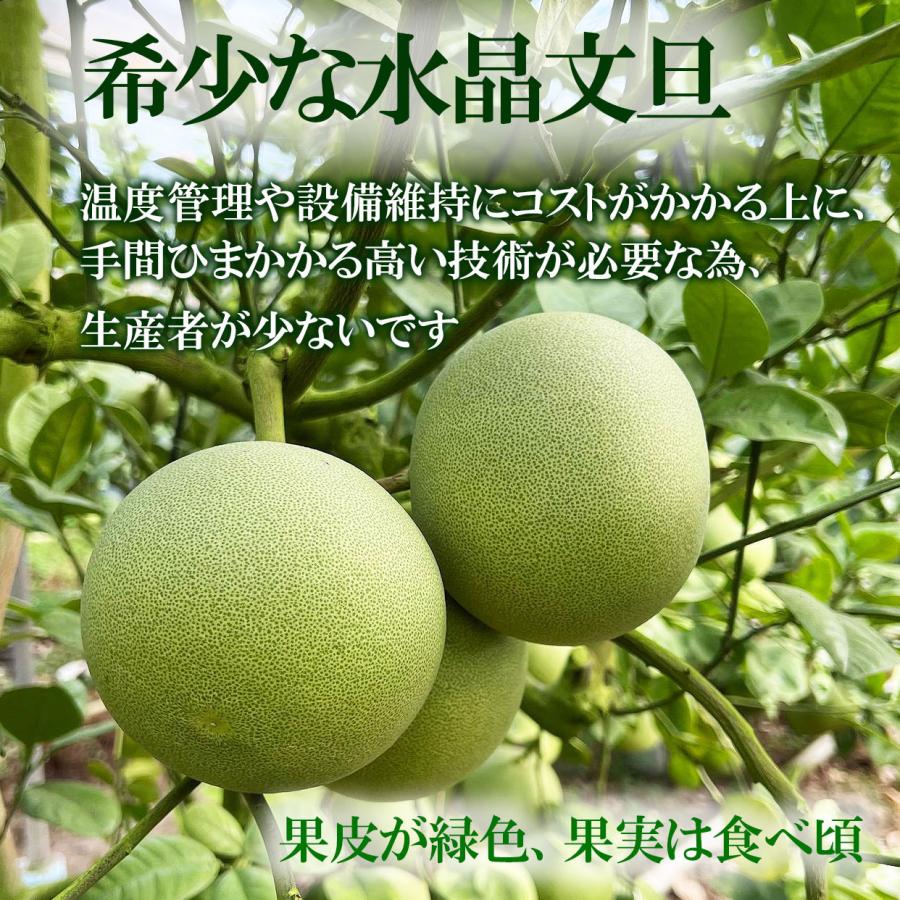 水晶文旦 お得箱約5kg 家庭用 包装対象外 文旦 ぶんたん ブンタン