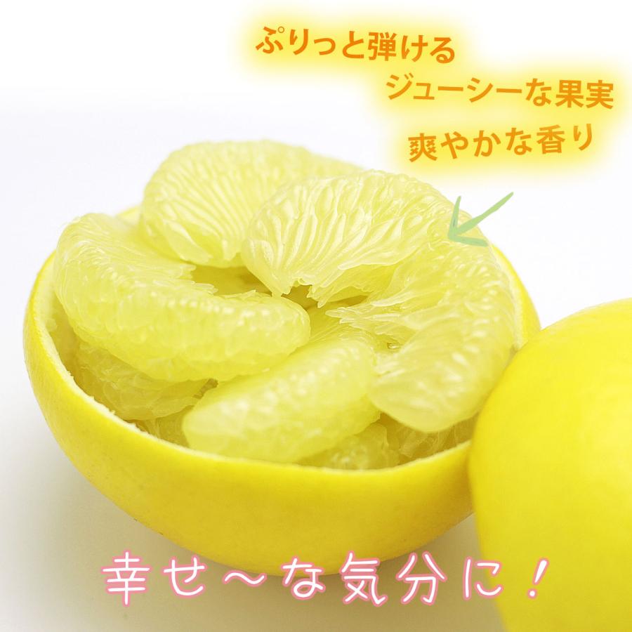 特選秀品土佐文旦 約10kg 3L大玉〜4L特大サイズ【送料込】 : 文旦屋 