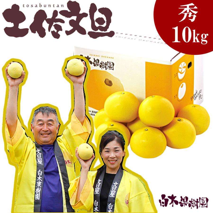 特選秀品土佐文旦約10kgL小玉〜2L中玉サイズ : 文旦屋・白木果樹 特選秀品土佐文旦約10kgL小玉〜2L中玉サイズ : 文旦屋・白木果樹