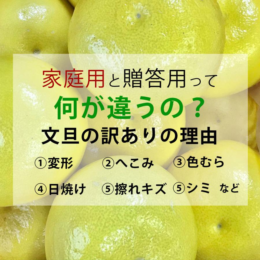 文旦 土佐文旦 特選秀品 4L特大2個入り【送料込】 : 文旦屋・白木果樹 