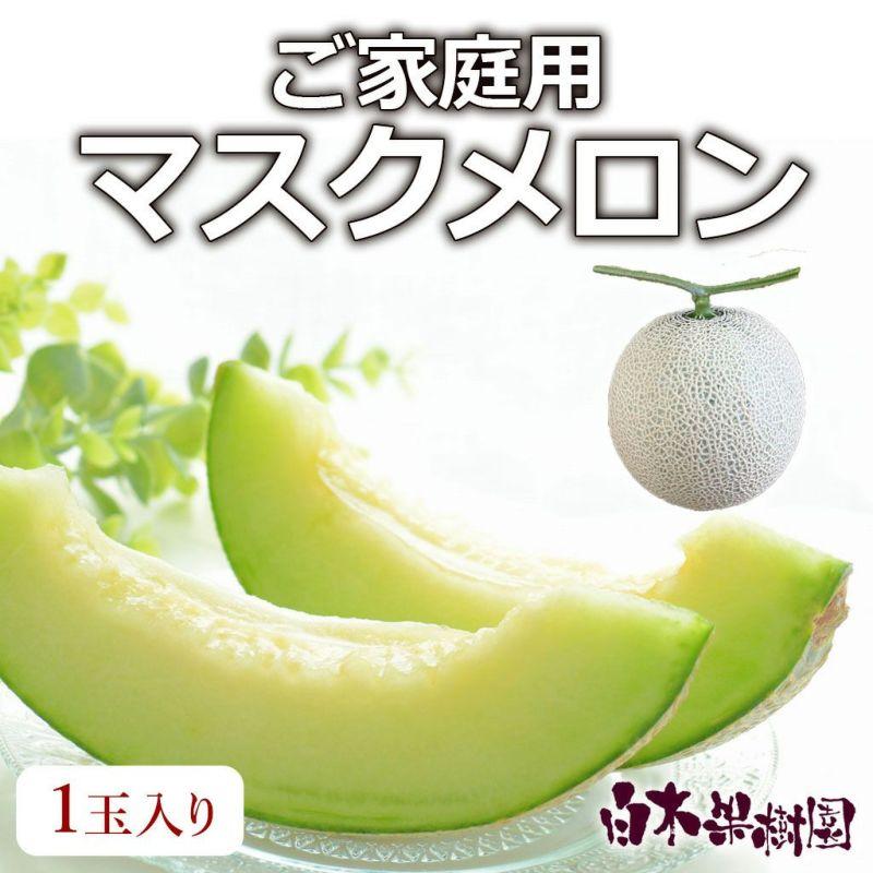 送料込】マスクメロン 訳ありB級品 1玉入り【高知県産】 : 文旦屋
