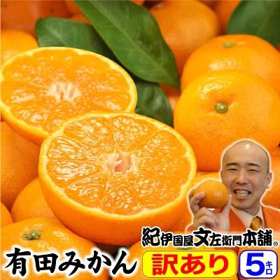 数量限定　みかん15kg 柑橘　和歌山　有田　小玉　セール Ｓ以下 お早目に 数量限定 みかん15kg 柑橘 和歌山 有田 小玉 セール S以下 お早目に