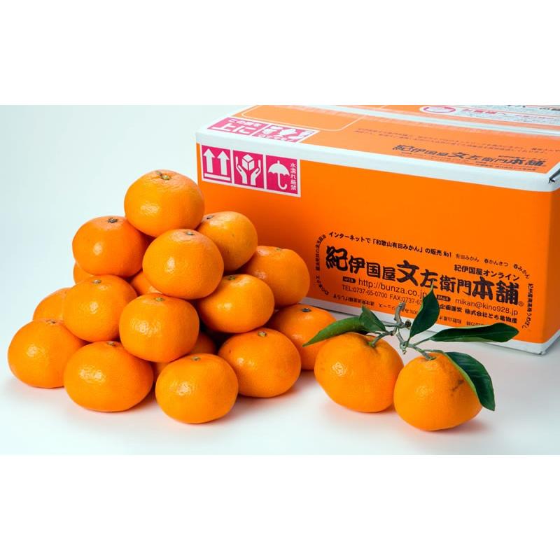 順次出荷】有田みかん10kg(サイズおまかせ)きのくにや認定生産者