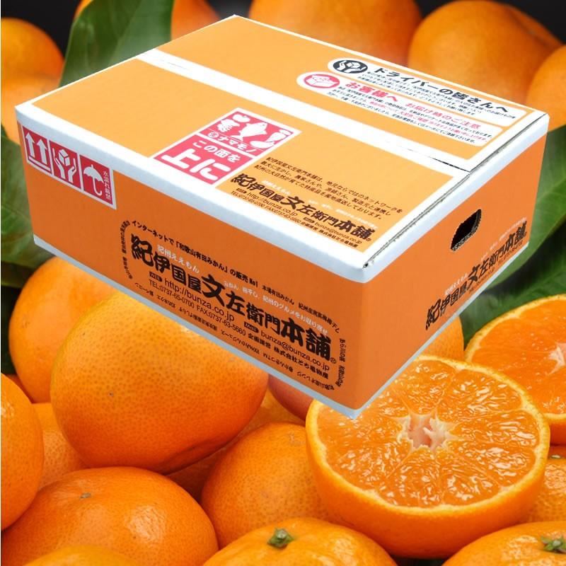 順次出荷】有田みかん10kg(サイズおまかせ)きのくにや認定生産者